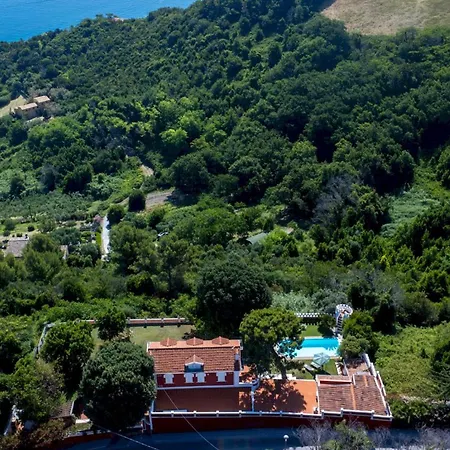 Fiola 8, Emma Villa